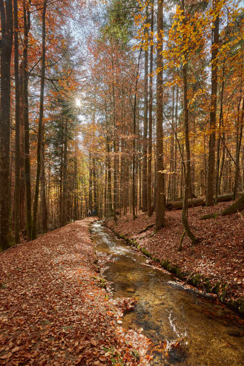 Gemeinde Bayerisch_Eisenstein Landkreis Regen Hans-Watzlik-Hain Kanal (Dirschl Johann) Deutschland REG